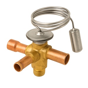 Expansion Valves